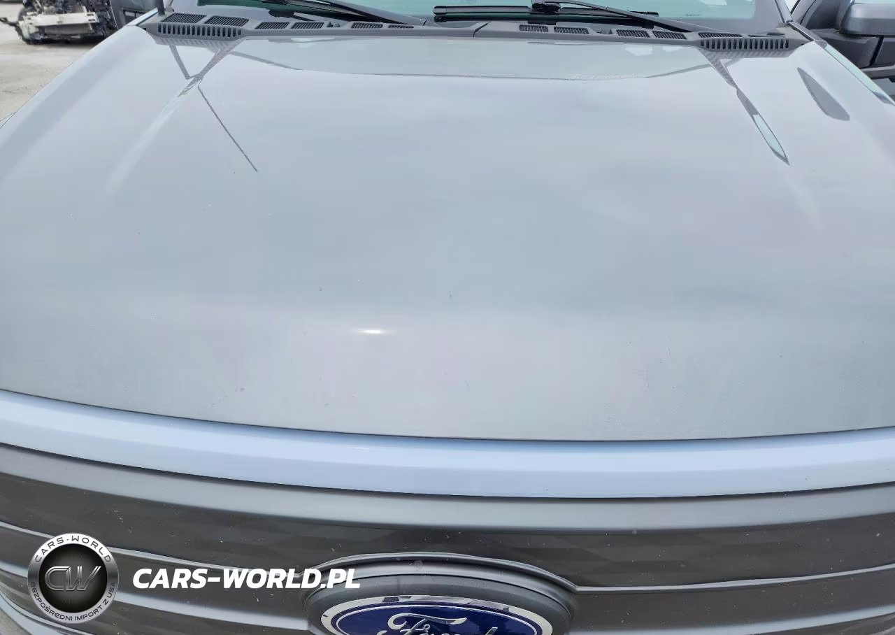 2023 Ford F150 Lightning Pro VIN:1FT6W1EV4PWG34647 - 11