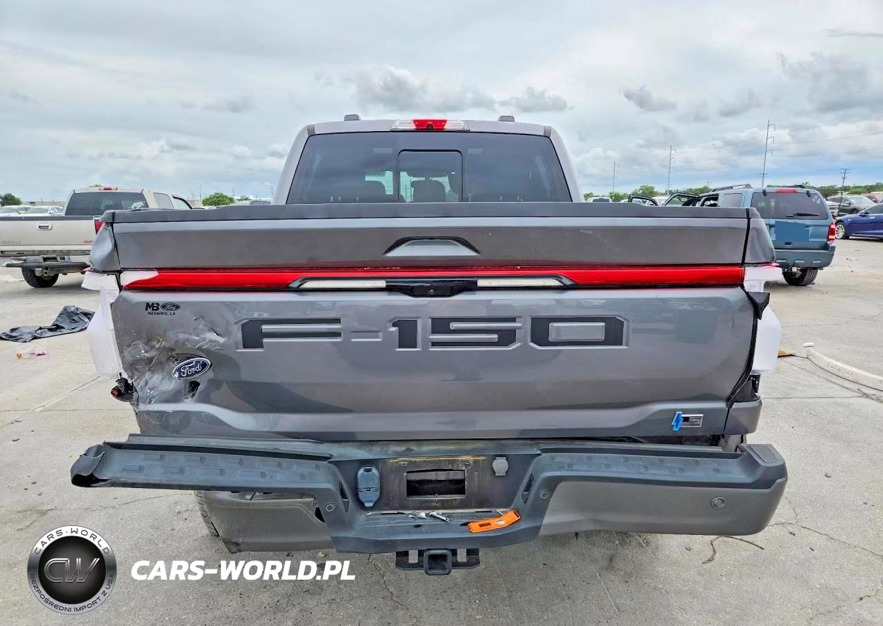 2023 Ford F150 Lightning Pro VIN:1FT6W1EV4PWG34647 - 6