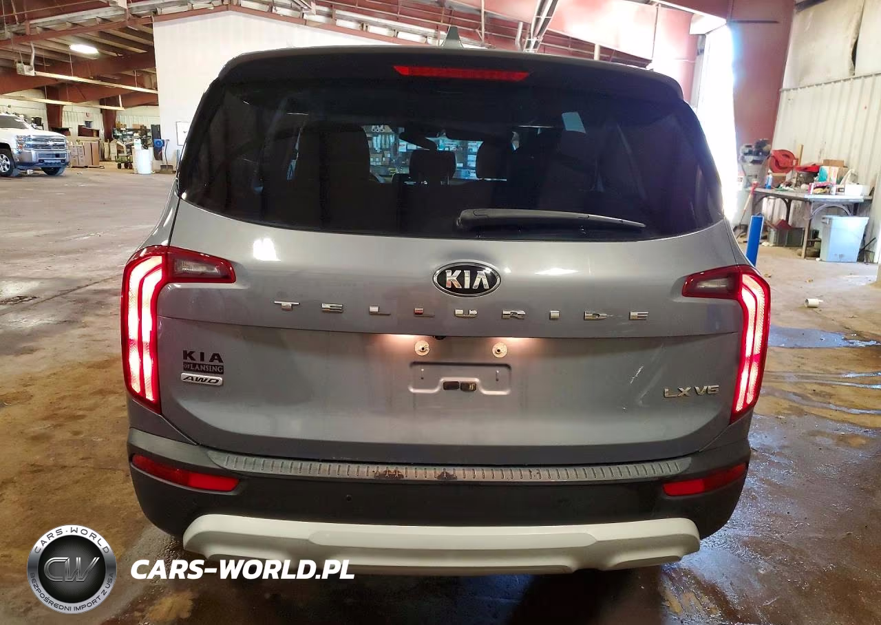 2021 Kia Telluride Lx VIN:5XYP2DHC7MG184092 - 6