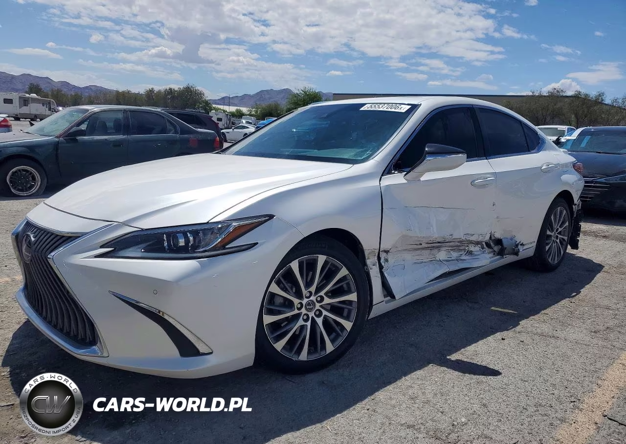 2020 Lexus Es 300H VIN:58AD21B14LU004688 - 1