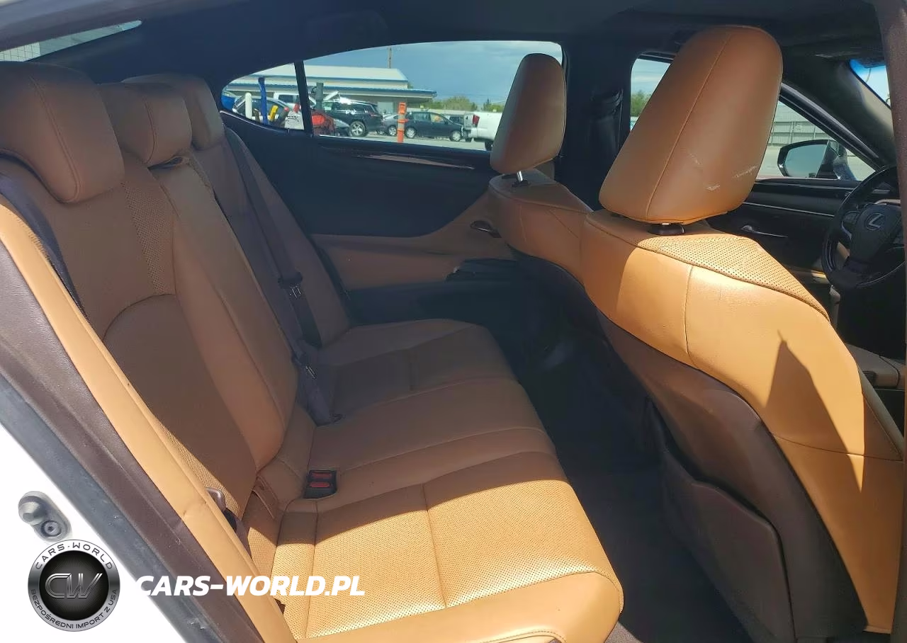 2020 Lexus Es 300H VIN:58AD21B14LU004688 - 10