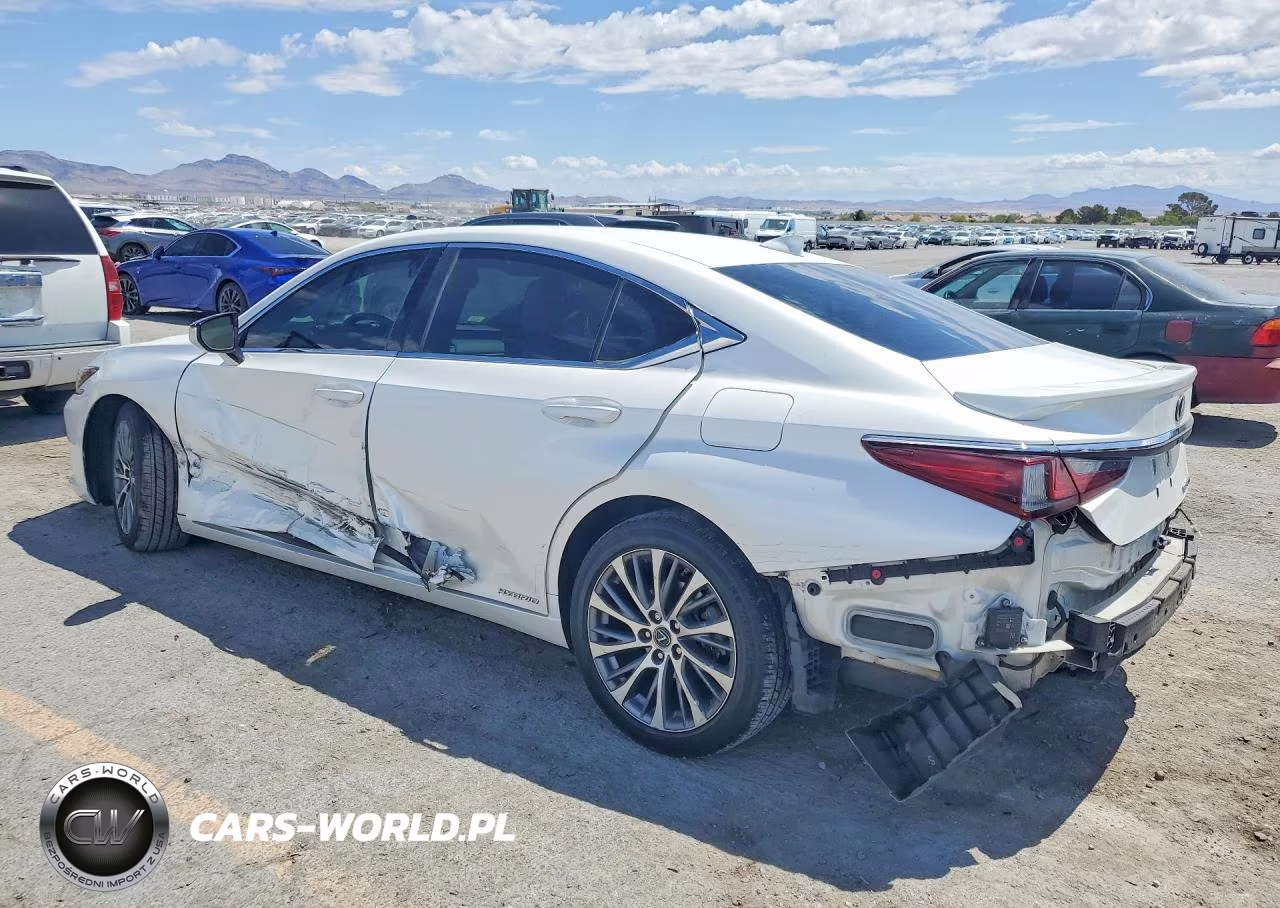 2020 Lexus Es 300H VIN:58AD21B14LU004688 - 2
