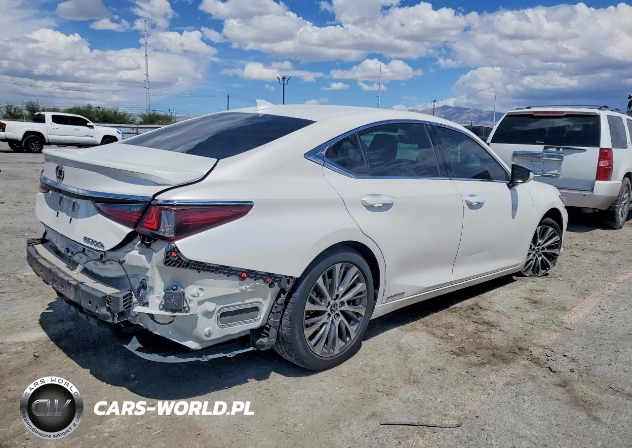2020 Lexus Es 300H VIN:58AD21B14LU004688 - 3