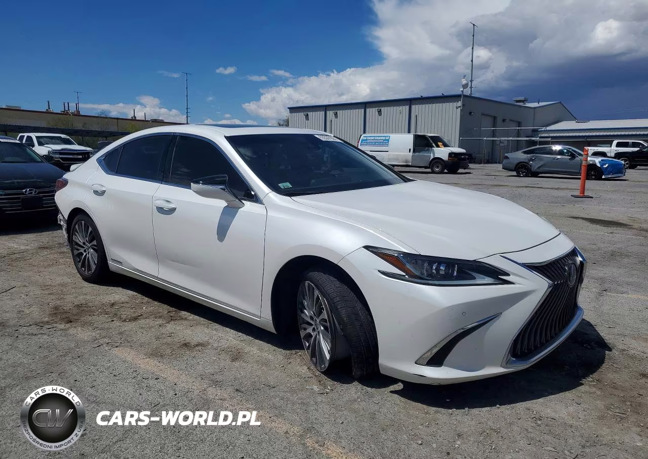 2020 Lexus Es 300H VIN:58AD21B14LU004688 - 4