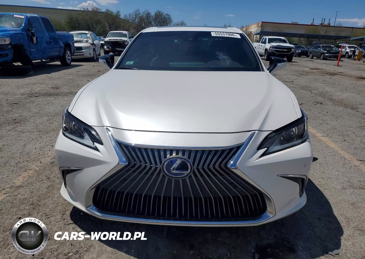 2020 Lexus Es 300H VIN:58AD21B14LU004688 - 5
