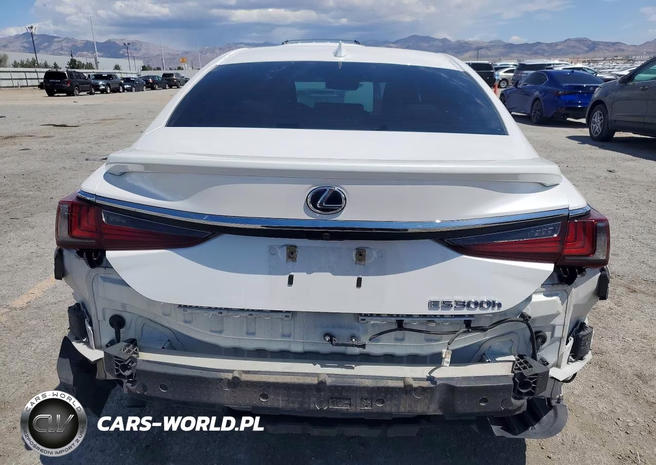 2020 Lexus Es 300H VIN:58AD21B14LU004688 - 6