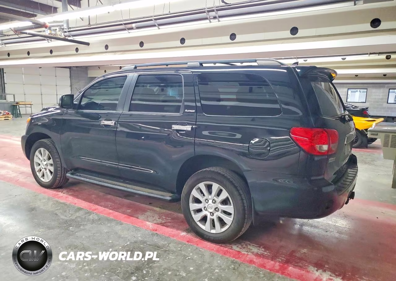 2016 Toyota Sequoia Platinum VIN:5TDDW5G11GS136379 - 2