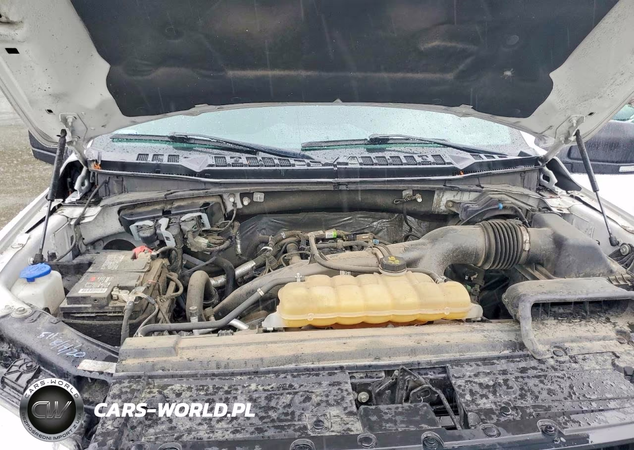2020 Ford F150 Supercrew VIN:1FTEW1EP2LKE74329 - 11