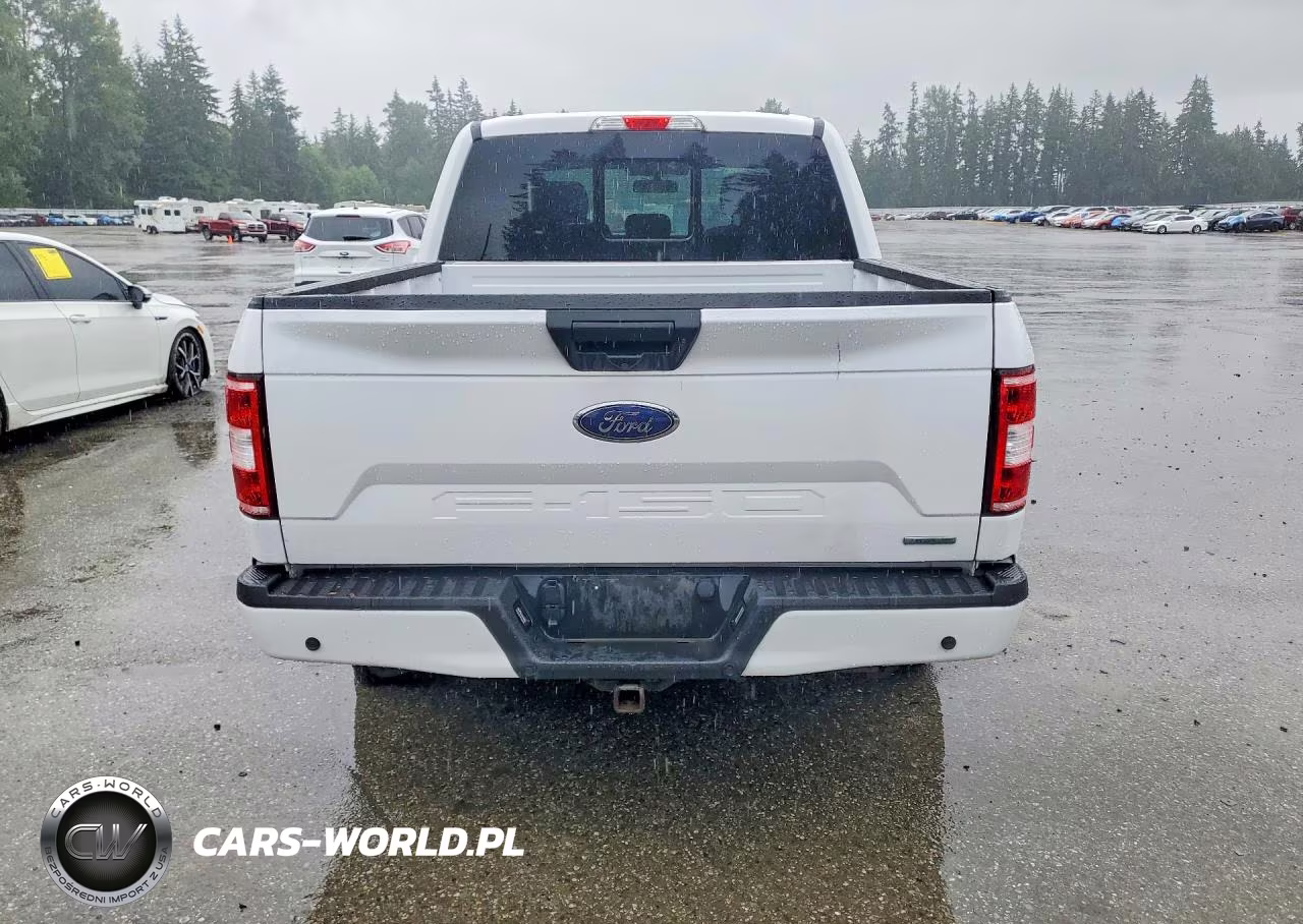 2020 Ford F150 Supercrew VIN:1FTEW1EP2LKE74329 - 6