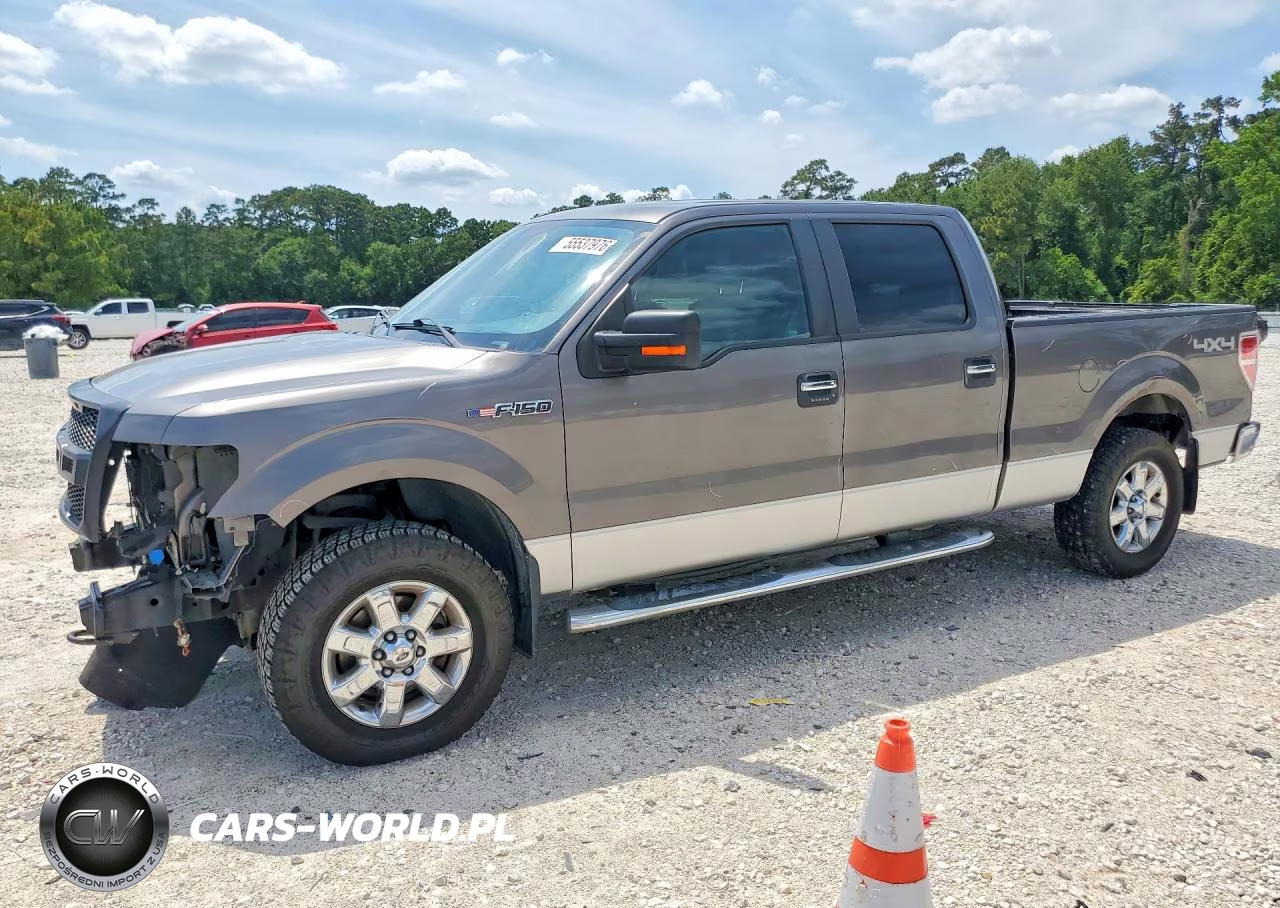 FORD F-150 – zdjęcie 1 z 13