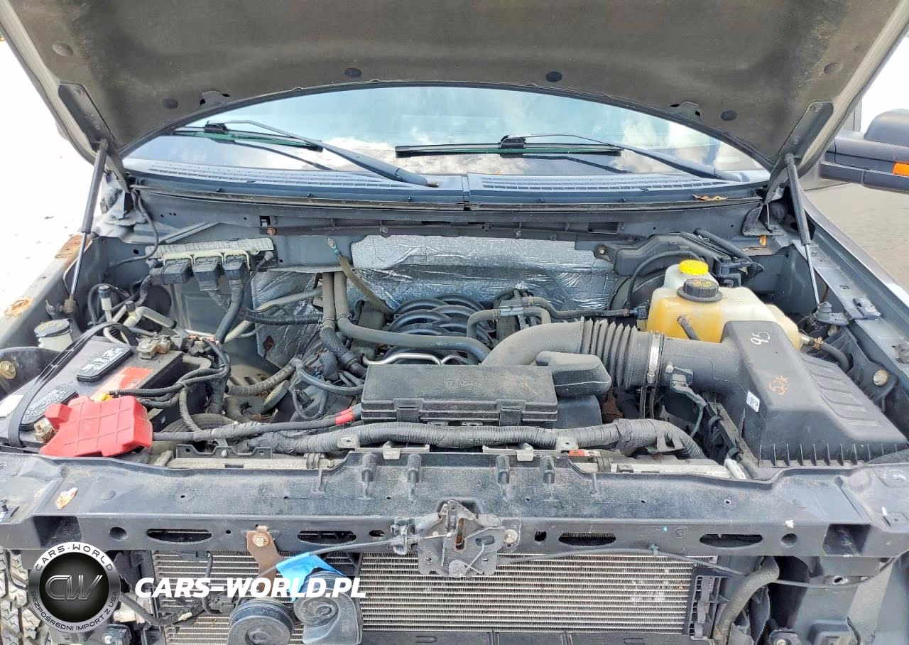 FORD F-150 VIN:1FTFW1EF9EFA42599 - 11