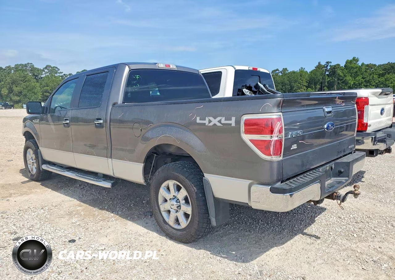 FORD F-150 VIN:1FTFW1EF9EFA42599 - 2