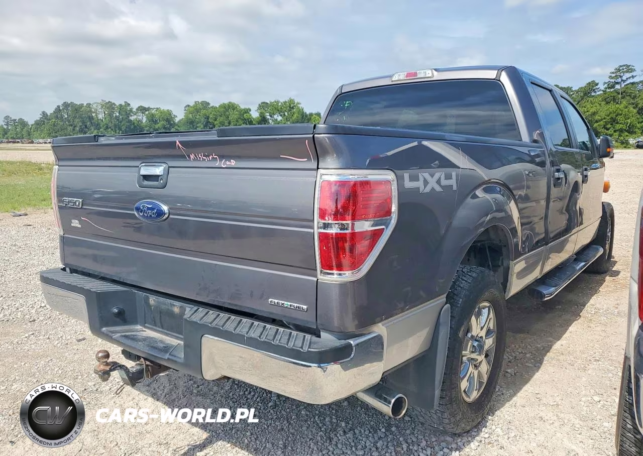 FORD F-150 VIN:1FTFW1EF9EFA42599 - 3