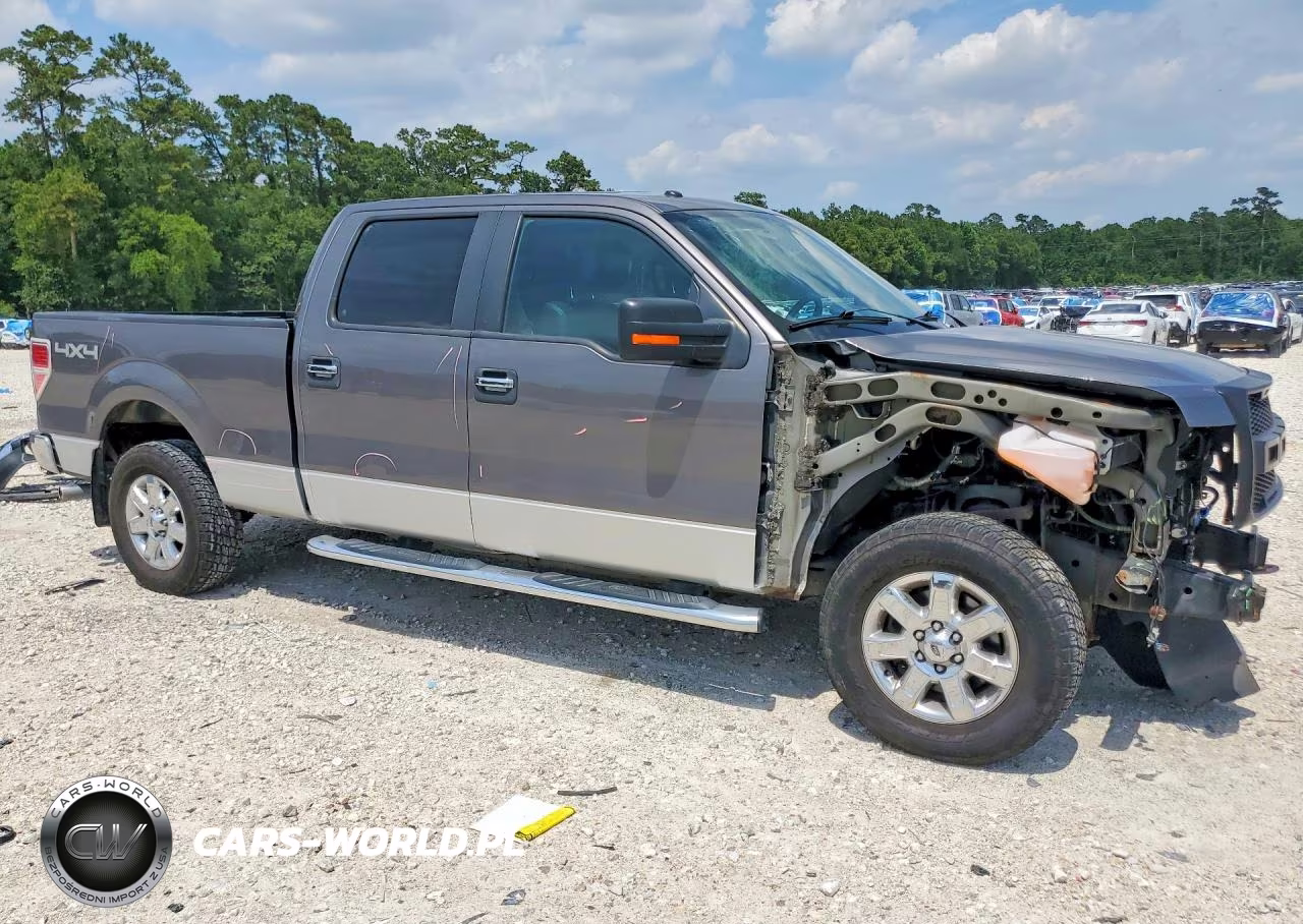 FORD F-150 VIN:1FTFW1EF9EFA42599 - 4