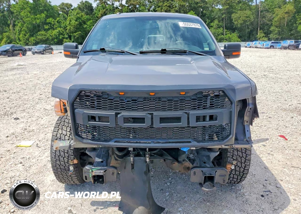 FORD F-150 VIN:1FTFW1EF9EFA42599 - 5