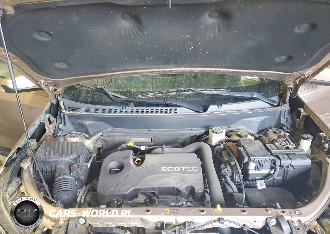 2019 Chevrolet Equinox Lt VIN:2GNAXKEV3K6158124 - 12