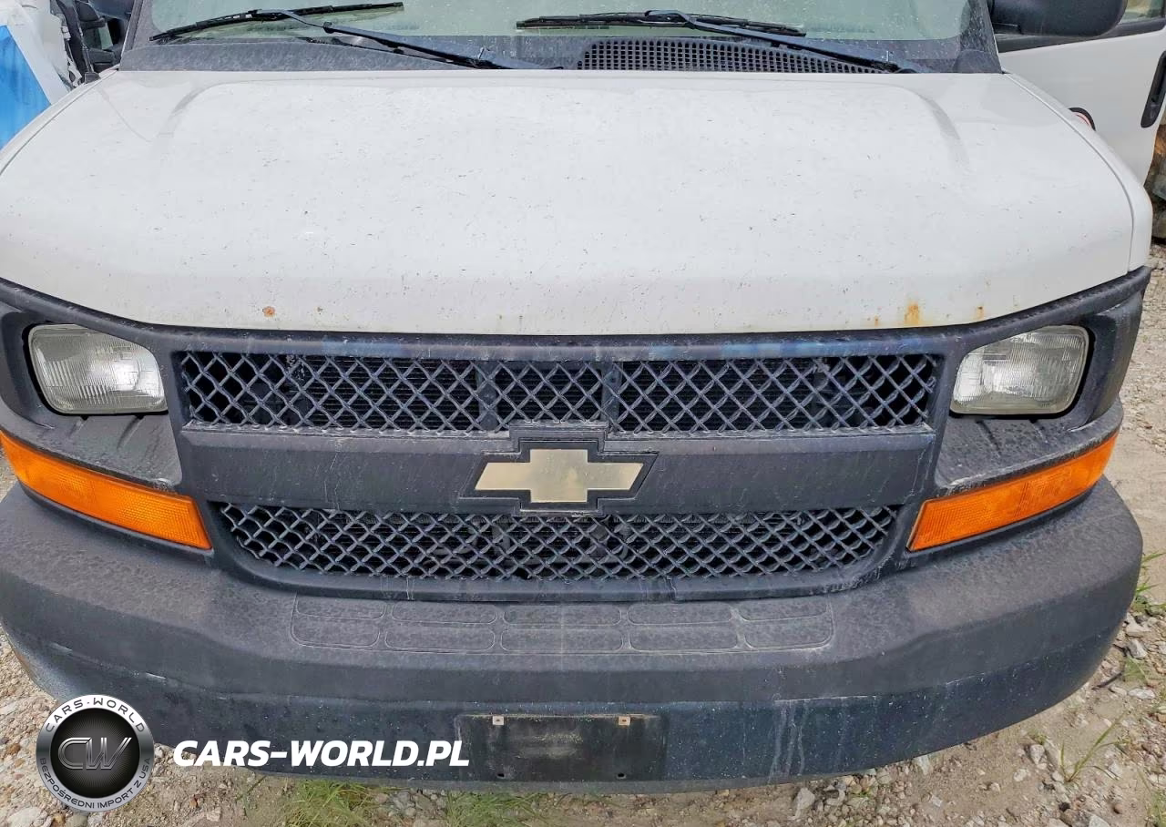 2013 Chevrolet Express 2500 Cargo Refrigerated Delivery Van VIN:1GCWGFFA6D1169027 - 11