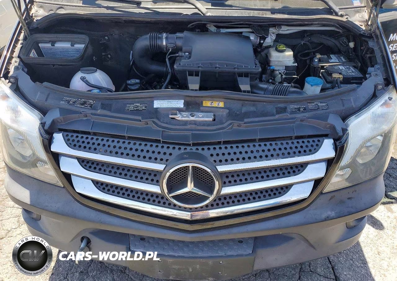 2016 Mercedes-Benz Sprinter 2500 VIN:WDZPE8CD6GP215770 - 12