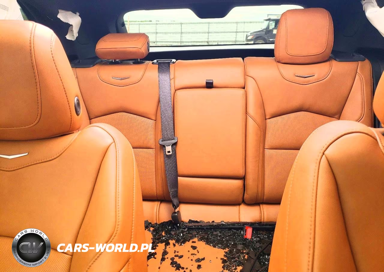 2020 Cadillac Xt4 Sport VIN:1GYFZFR49LF017917 - 10