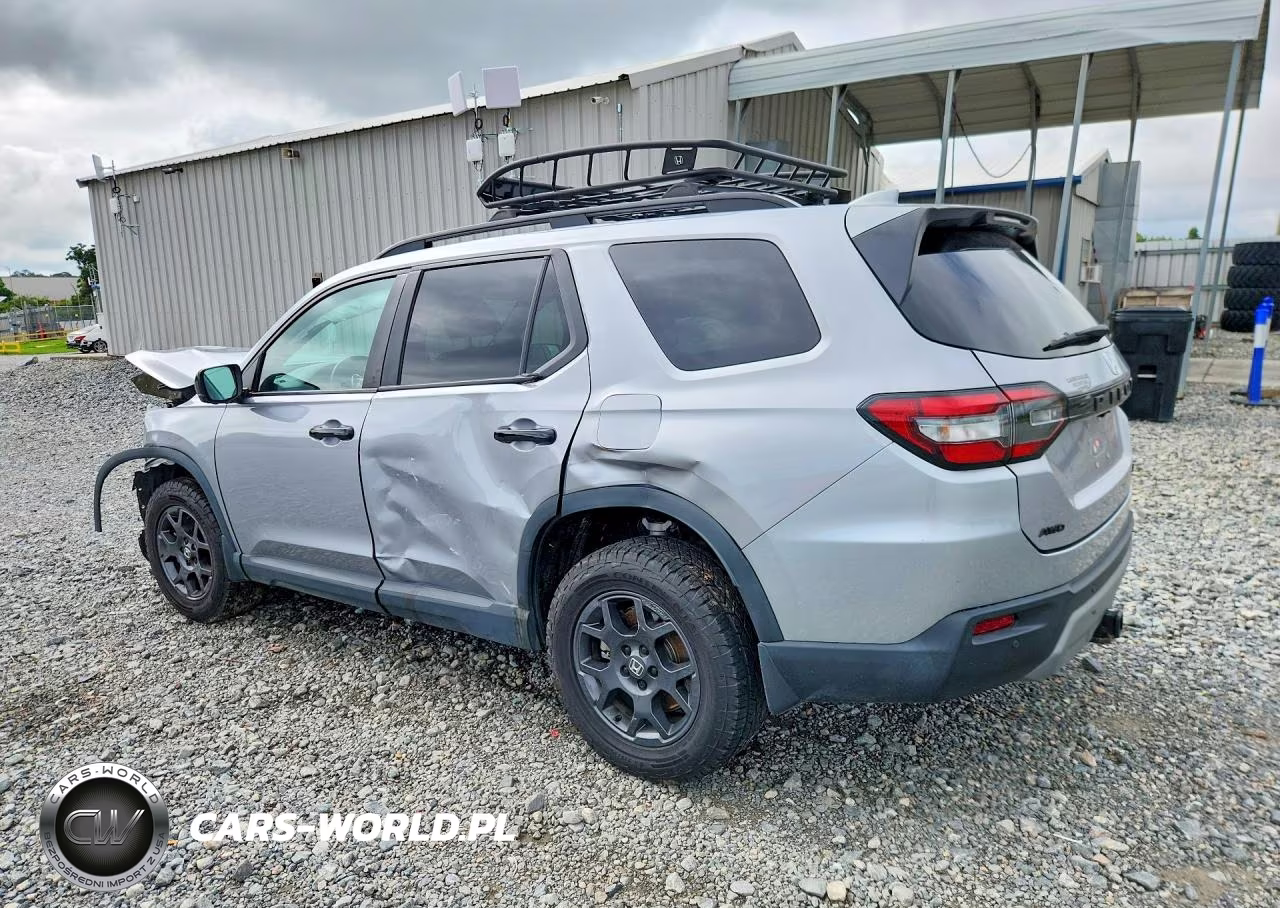 2025 Honda Pilot Trailsport VIN:5FNYG1H64SB038431 - 2