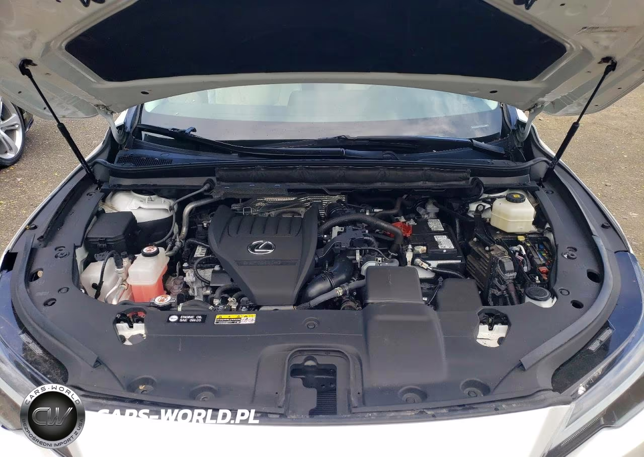 2024 Lexus Rx 350 Premium VIN:2T2BAMCA9RC050010 - 11