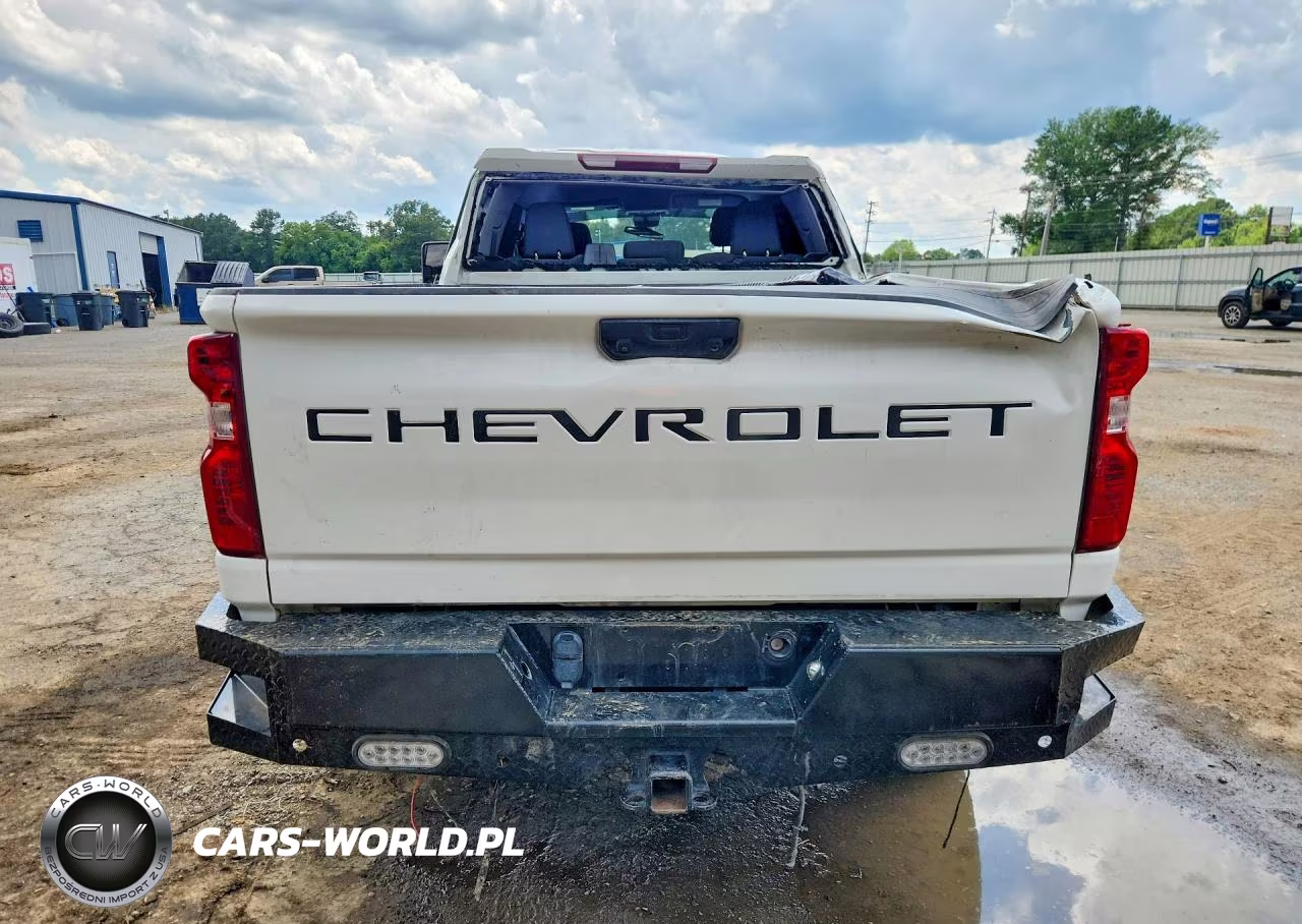 2024 Chevrolet Silverado K2500 Heavy Duty Lt VIN:2GC4YNEY9R1194518 - 6