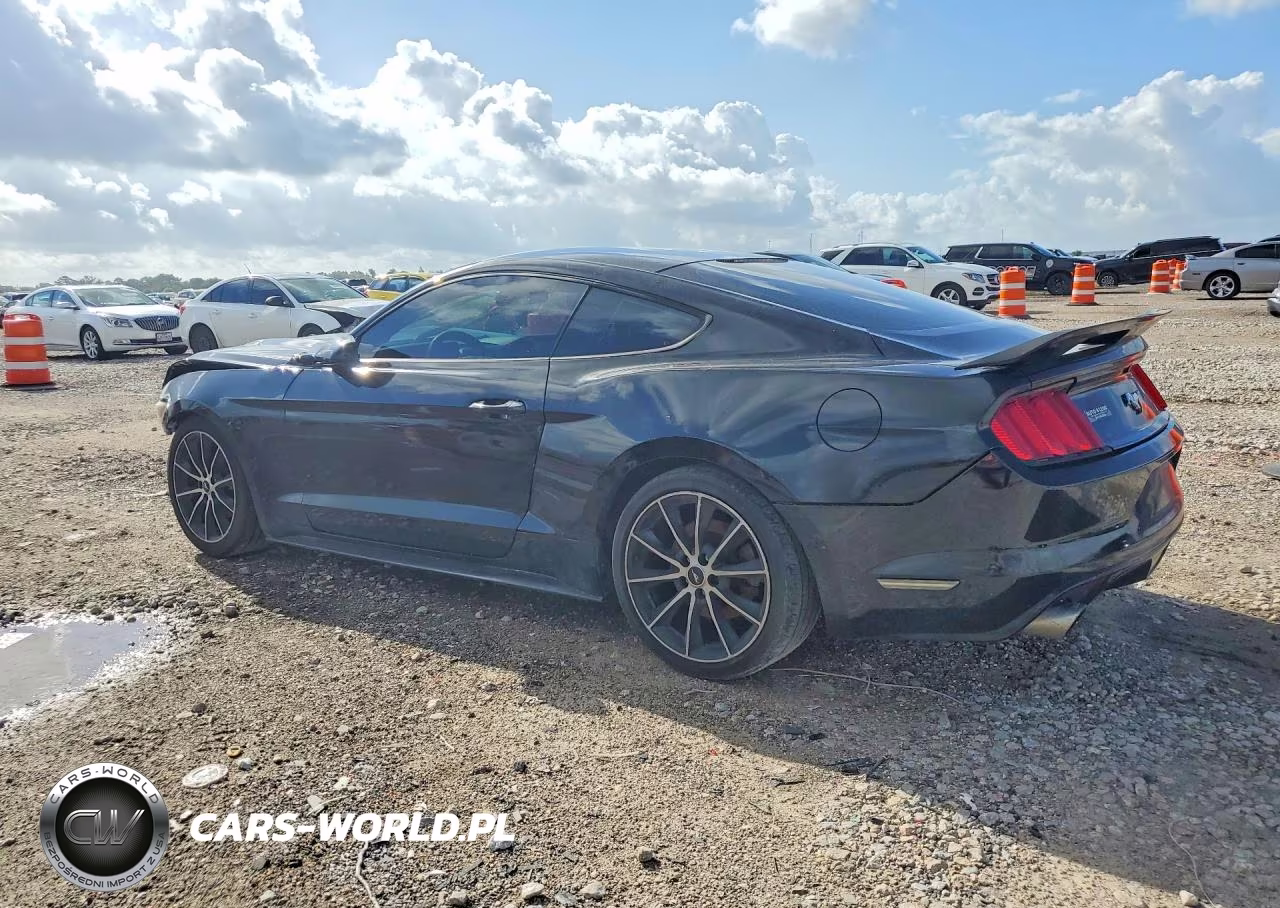 2017 Ford Mustang VIN:1FA6P8TH7H5323018 - 2