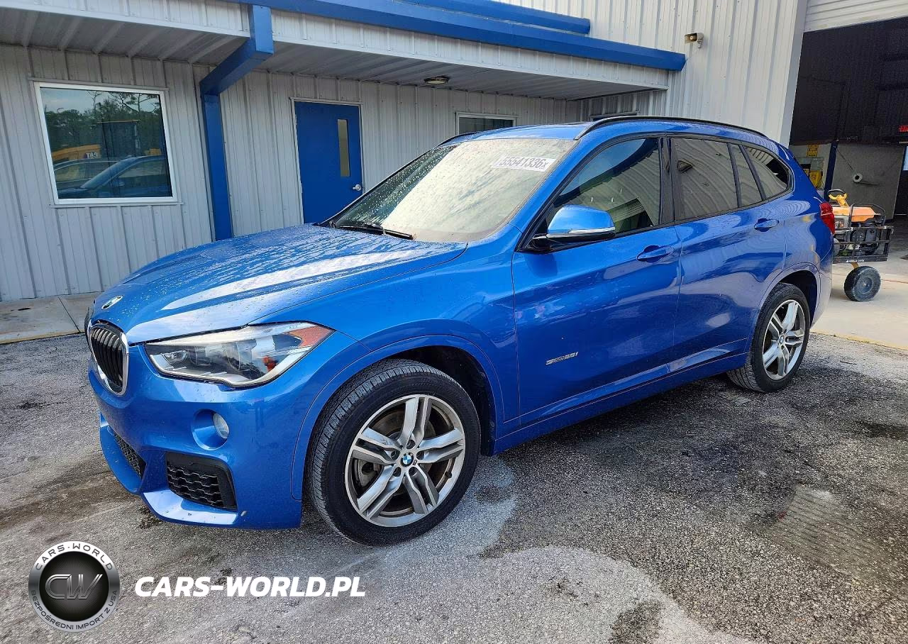 2018 BMW X1 Sdrive28I – zdjęcie 1 z 13