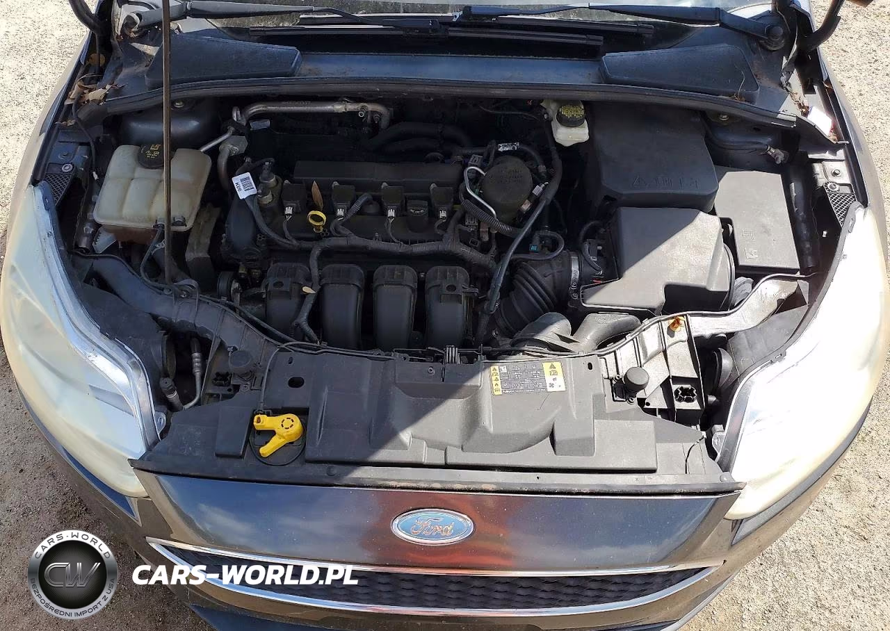 2017 Ford Focus Sel VIN:1FADP3H28HL227621 - 11