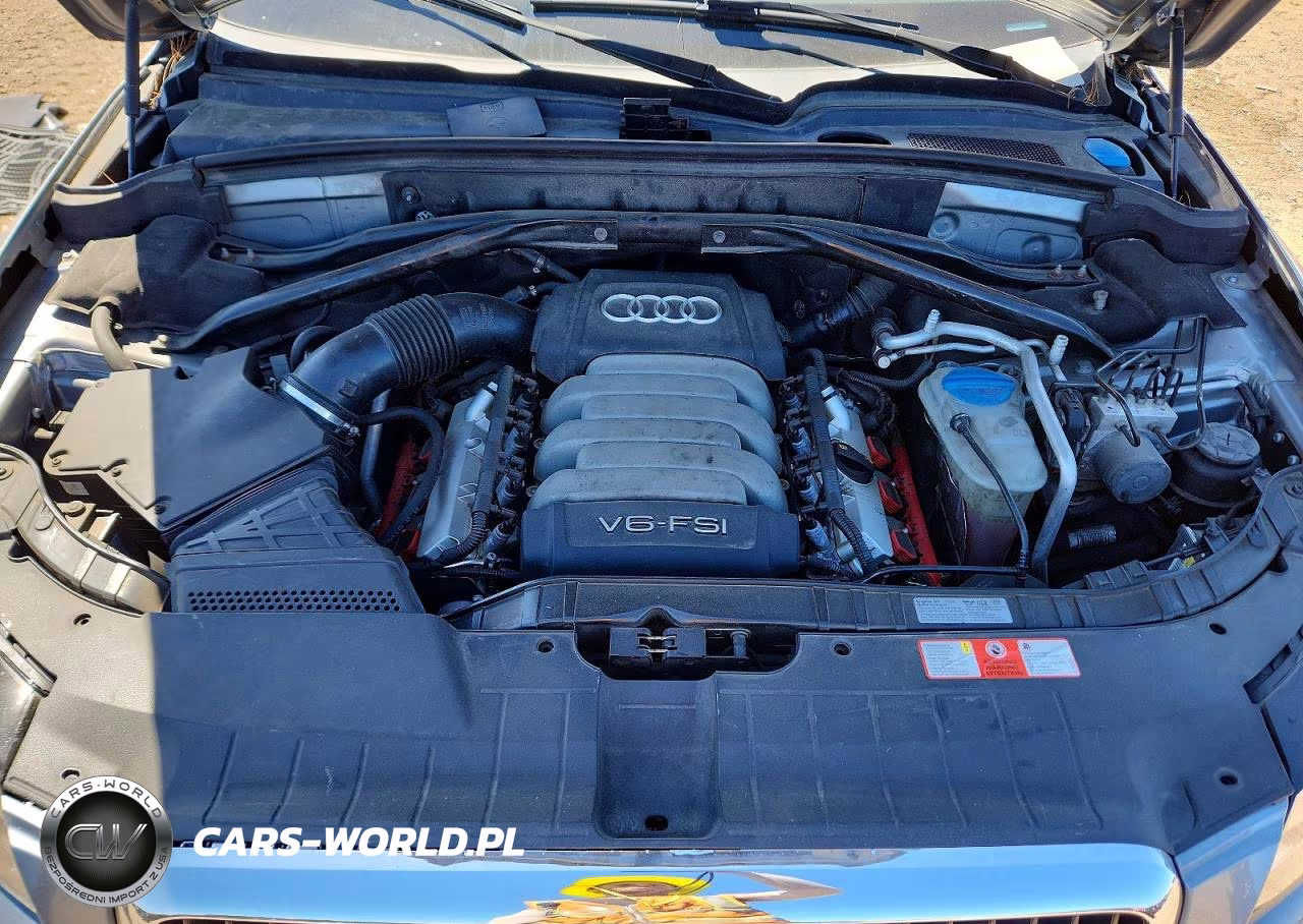 2010 Audi Q5 Premium Plus VIN:WA1LKAFP8AA064066 - 11