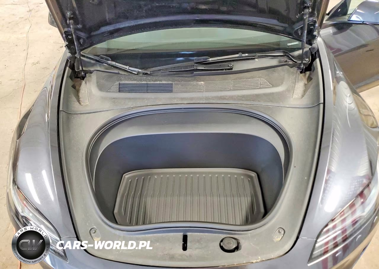 2024 Tesla Model 3 VIN:5YJ3E1ET1RF869146 - 11