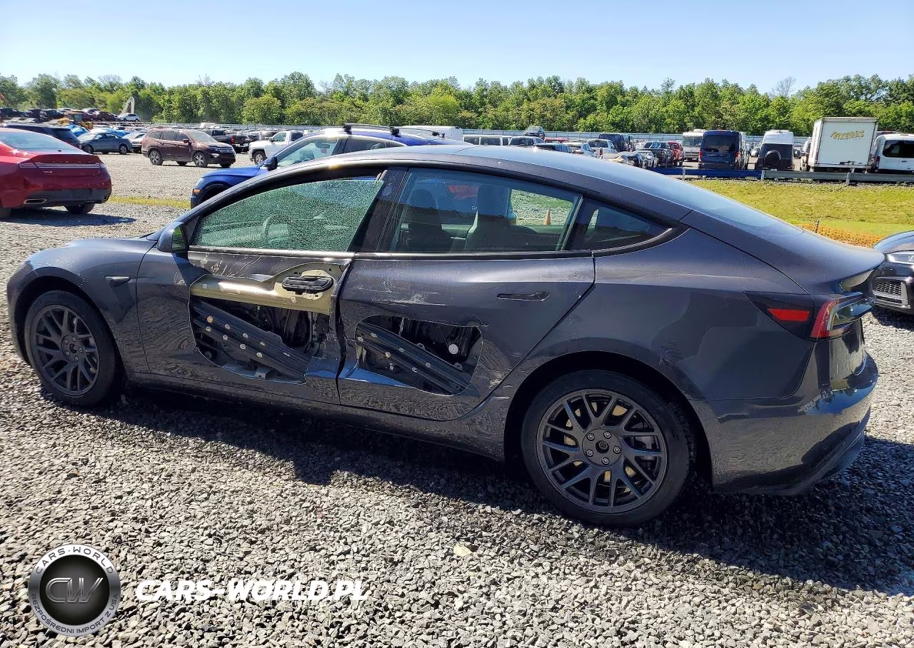 2025 Tesla Model 3 VIN:5YJ3E1EB4SF926341 - 2