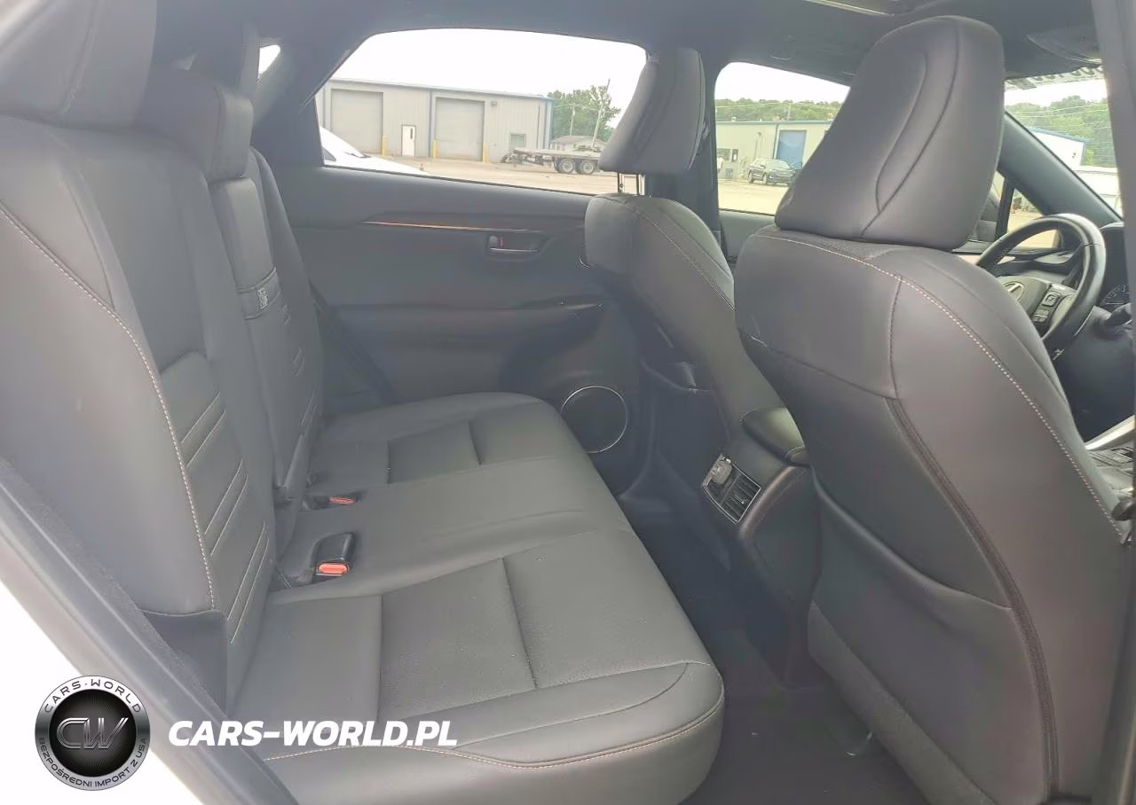 2020 Lexus Nx 300 VIN:JTJGARBZ5L2168475 - 11