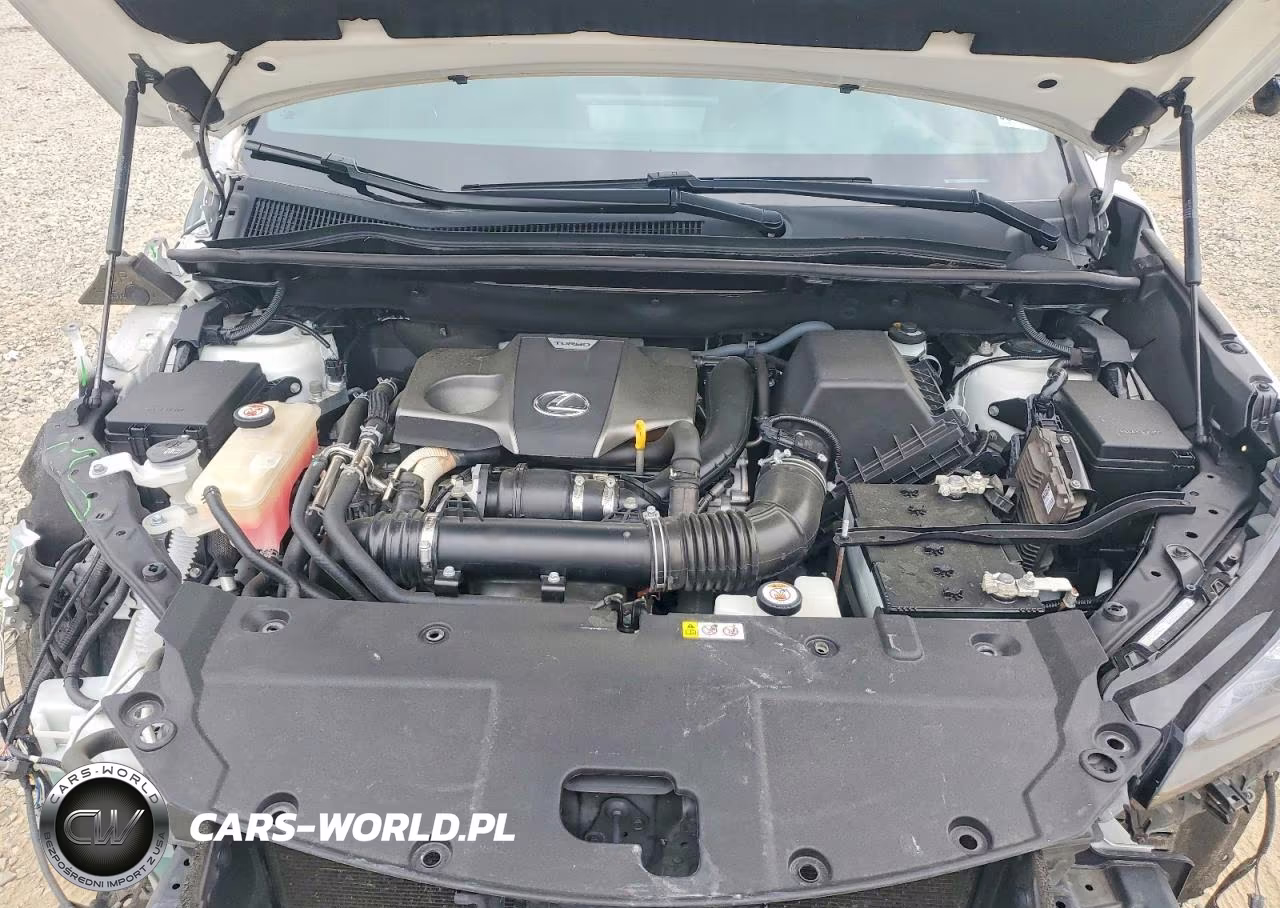 2020 Lexus Nx 300 VIN:JTJGARBZ5L2168475 - 12