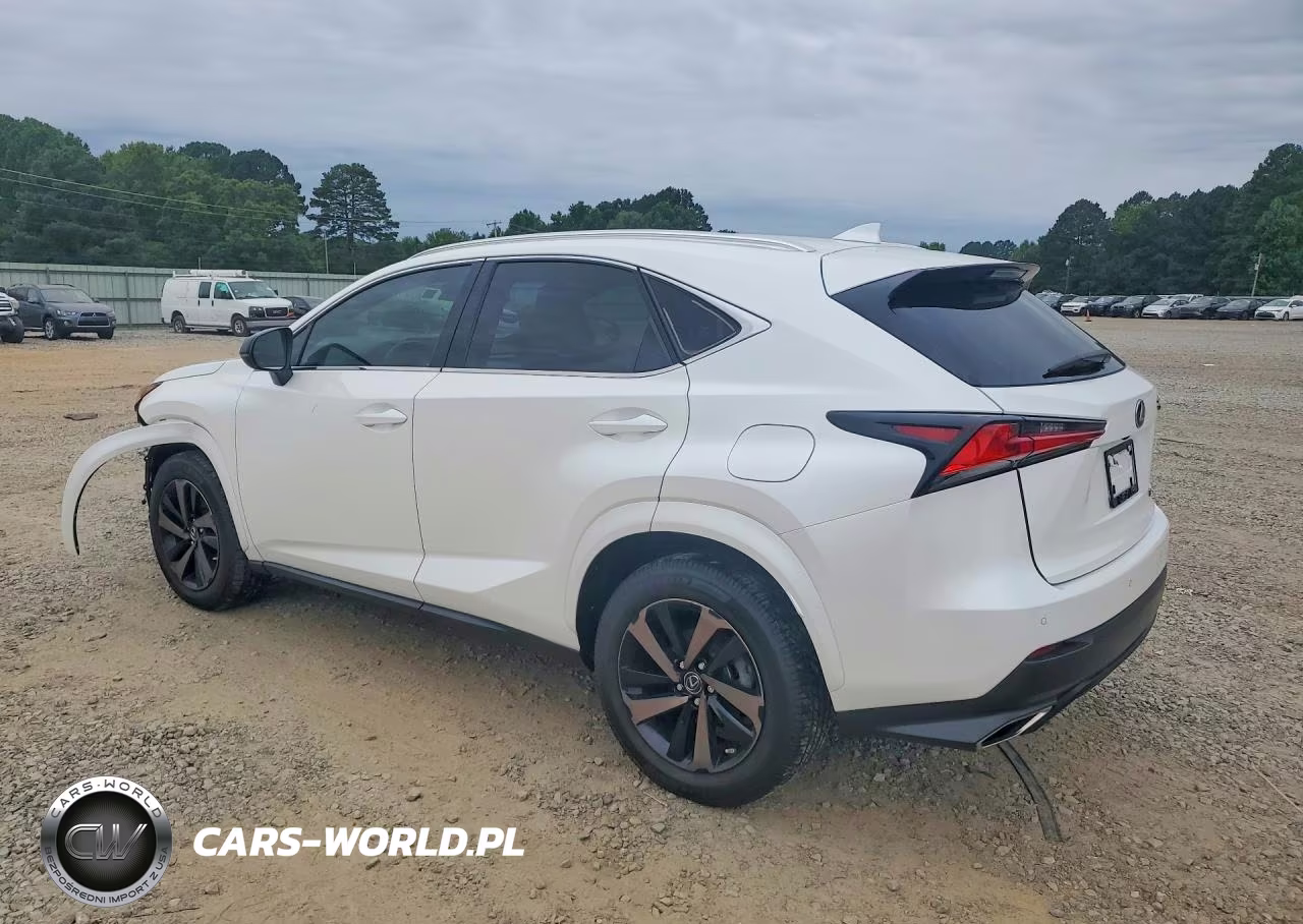 2020 Lexus Nx 300 VIN:JTJGARBZ5L2168475 - 2