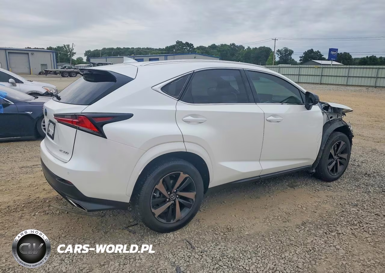 2020 Lexus Nx 300 VIN:JTJGARBZ5L2168475 - 3