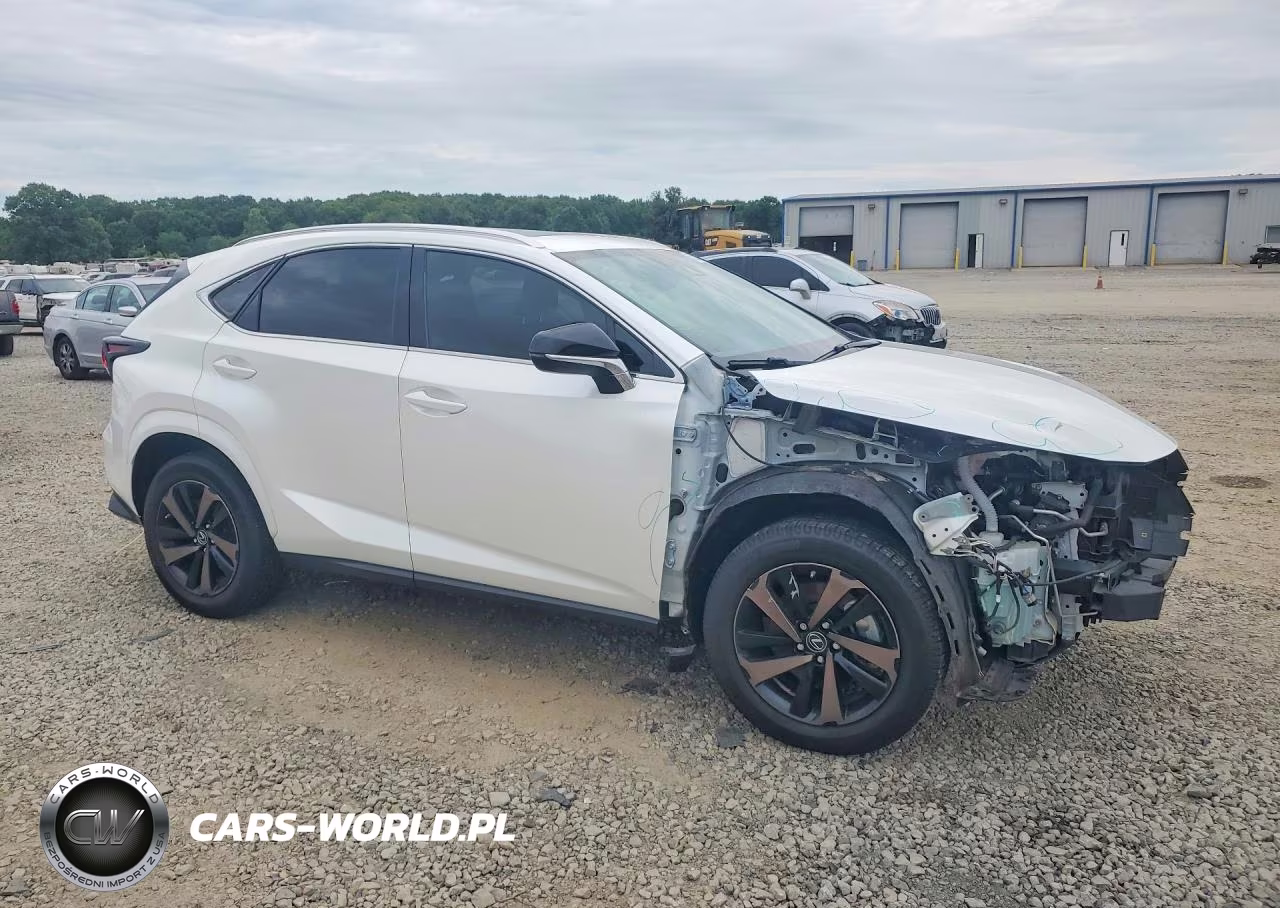 2020 Lexus Nx 300 VIN:JTJGARBZ5L2168475 - 4