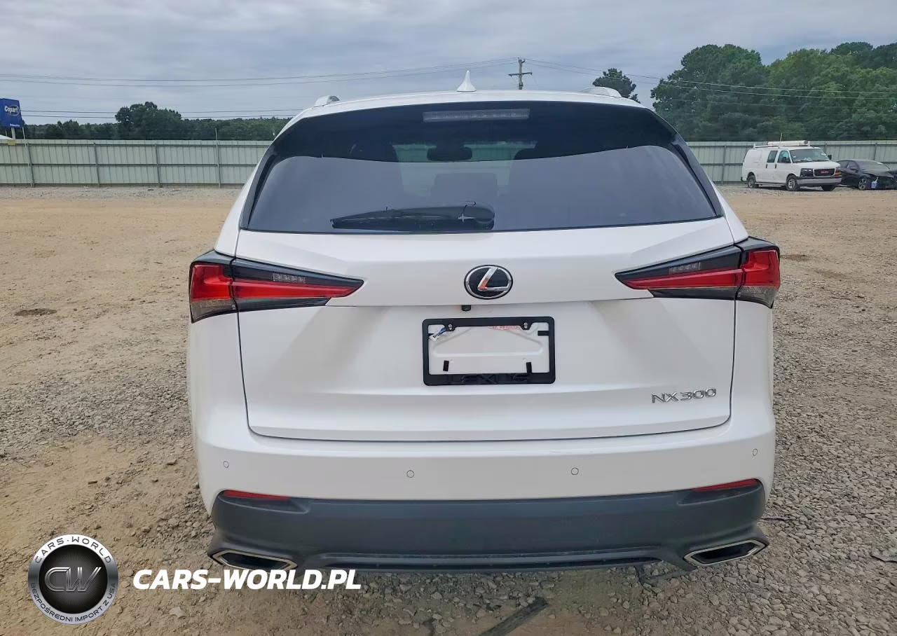 2020 Lexus Nx 300 VIN:JTJGARBZ5L2168475 - 6