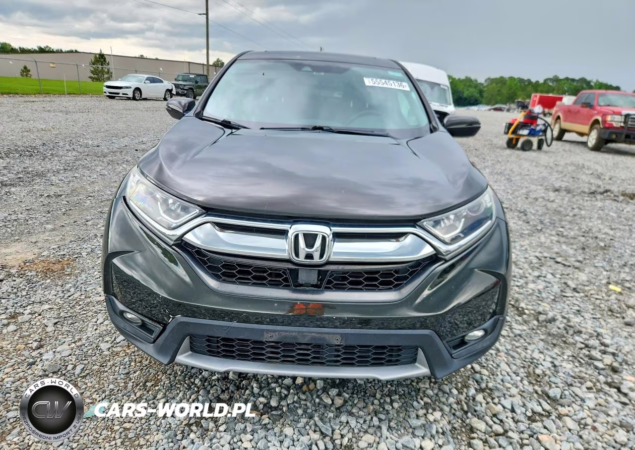 2019 Honda Cr-V Exl VIN:2HKRW1H86KH504533 - 5