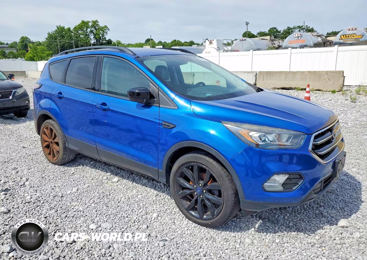2017 Ford Escape Se VIN:1FMCU0GD8HUE03881 - 4