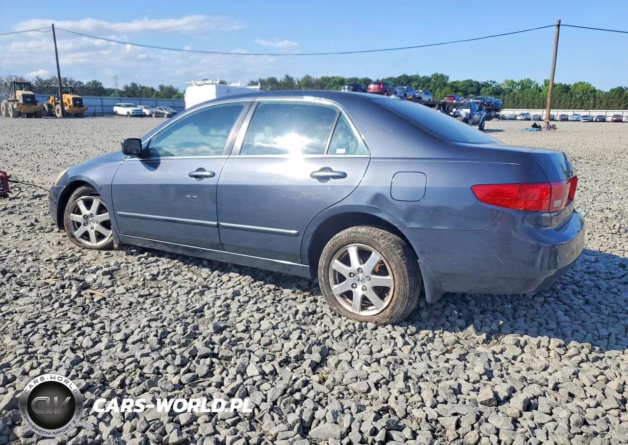 2005 Honda Accord Ex VIN:1HGCM668X5A066723 - 2