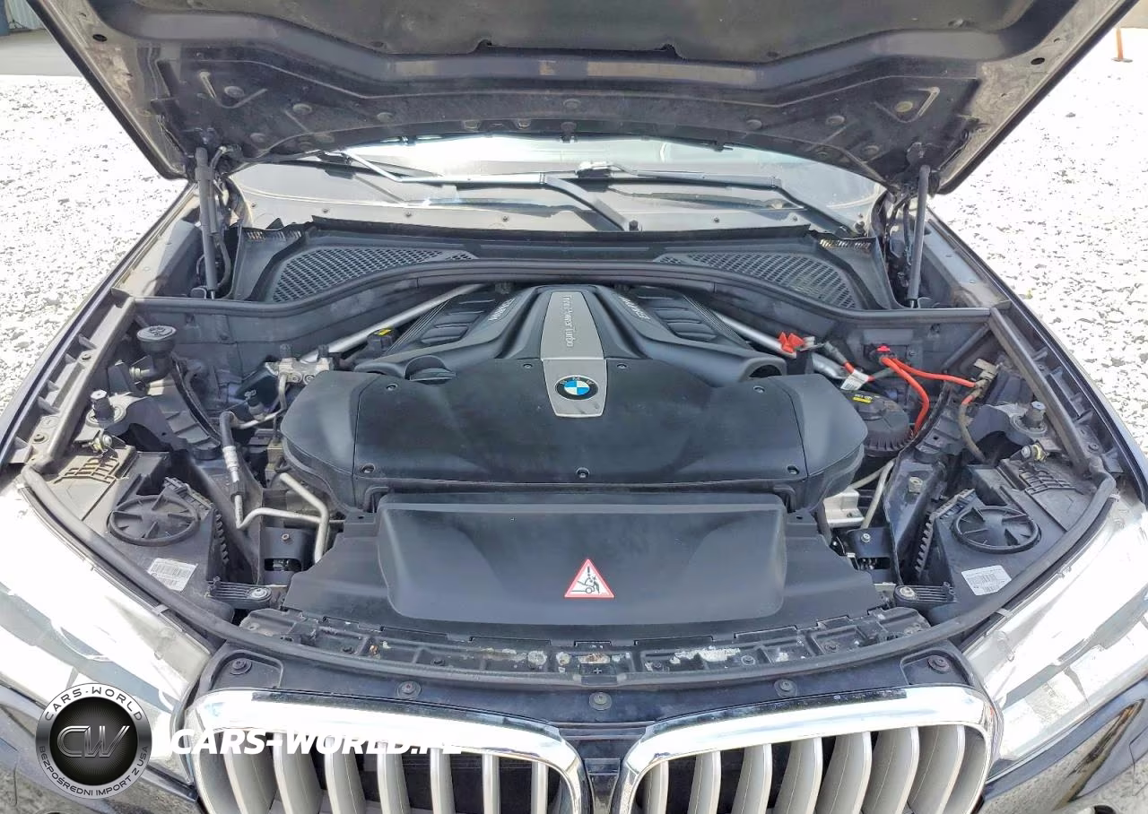 2016 BMW X5 xDrive50I VIN:5UXKR6C59G0J80810 - 12