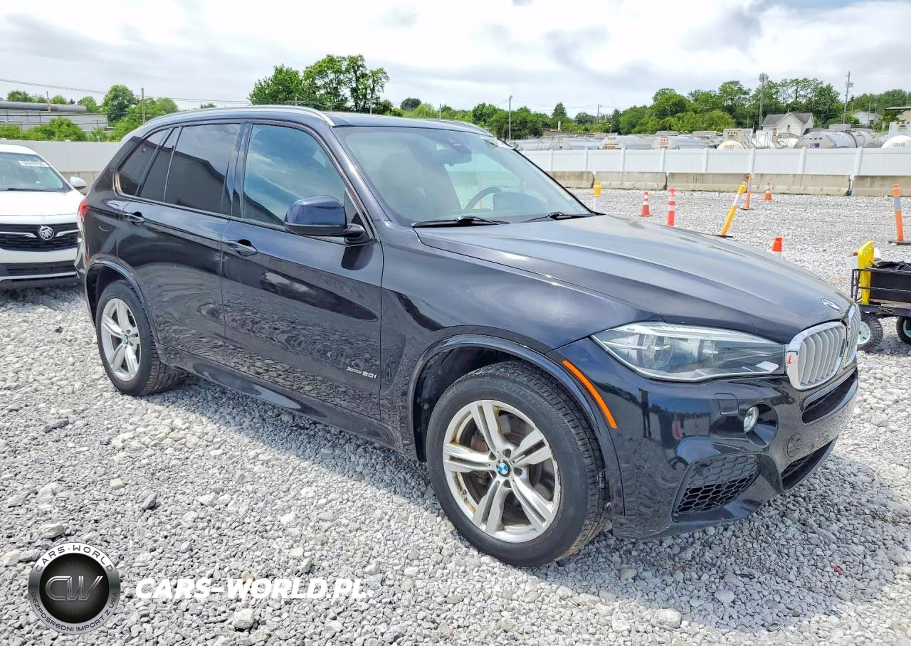 2016 BMW X5 xDrive50I VIN:5UXKR6C59G0J80810 - 4