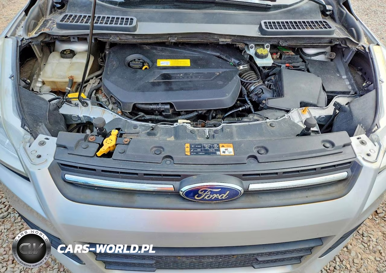 2016 Ford Escape Se VIN:1FMCU9GX6GUC53962 - 12