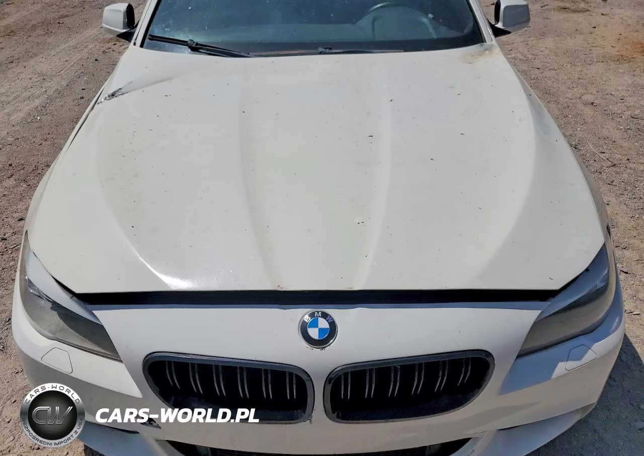 2012 BMW 535 Xi VIN:WBAFU7C59CDU57981 - 11