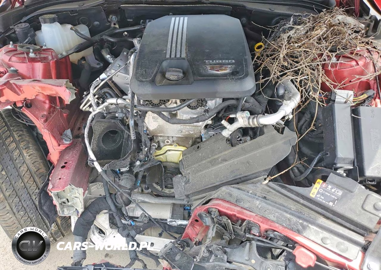 2026 Cadillac Ct4 Luxury + VIN:1G6DJ5RK0T0101028 - 11