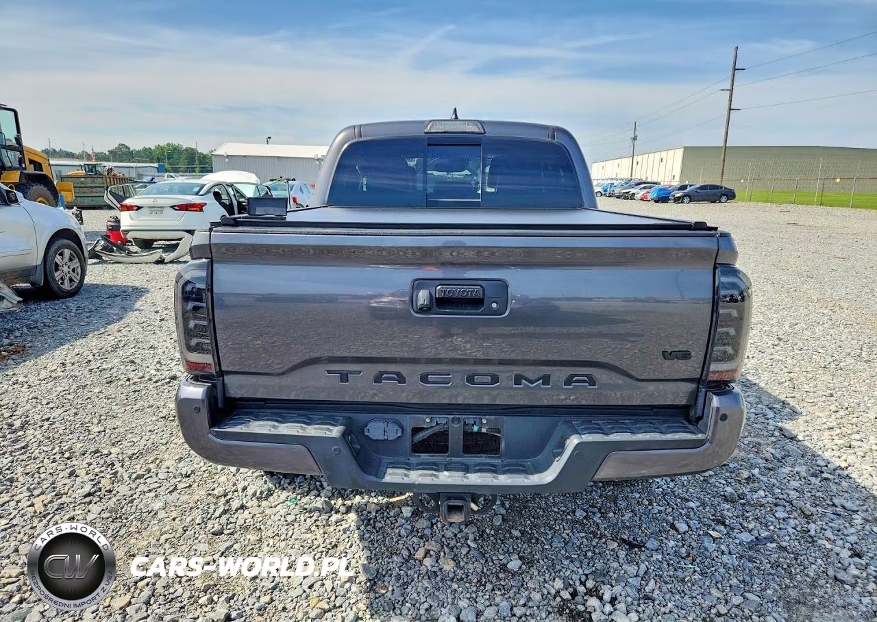 2019 Toyota Tacoma Trd Sport VIN:3TMCZ5AN0KM243687 - 6