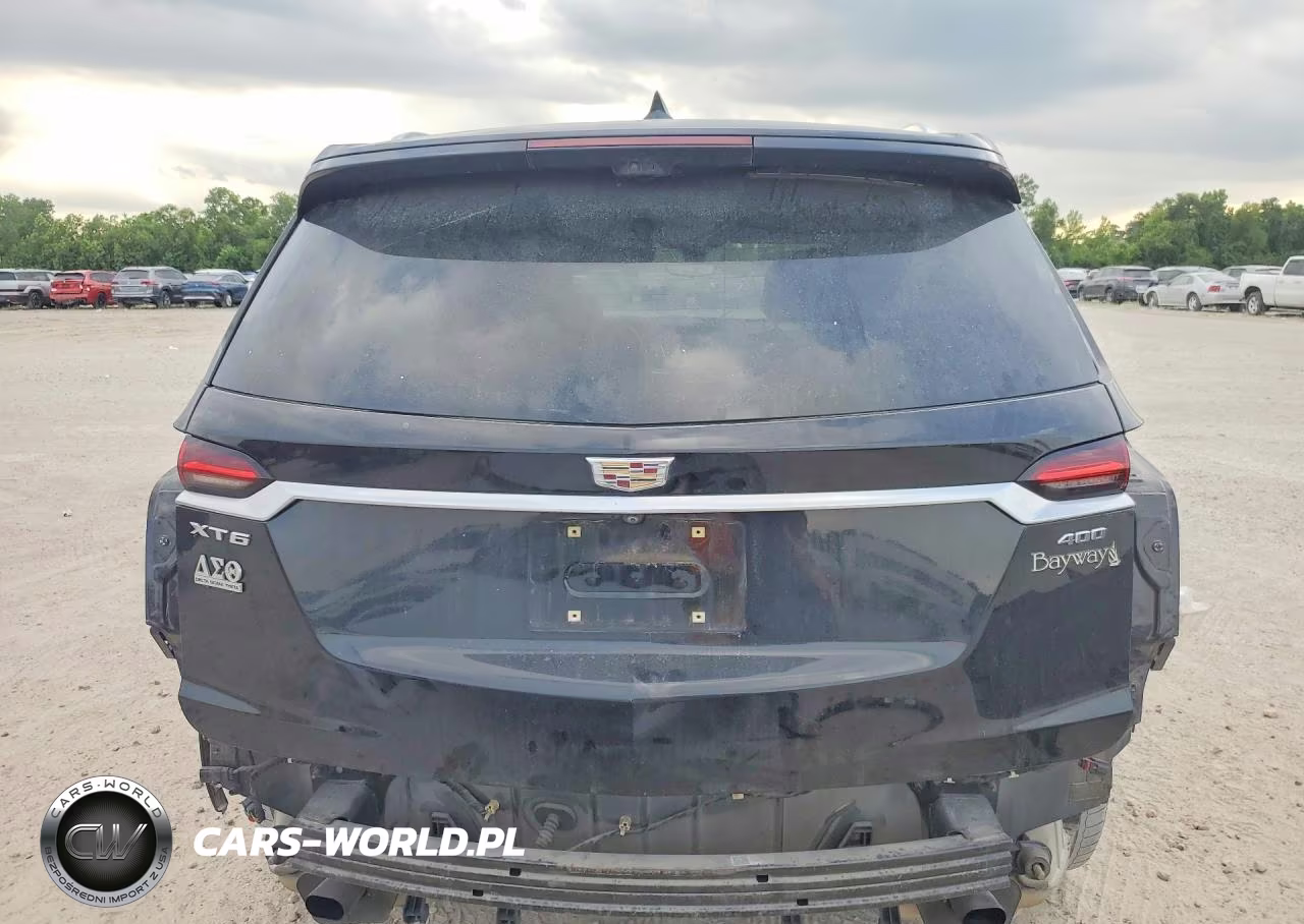 2020 Cadillac Xt6 Premium Luxury VIN:1GYKPCRS8LZ113568 - 6