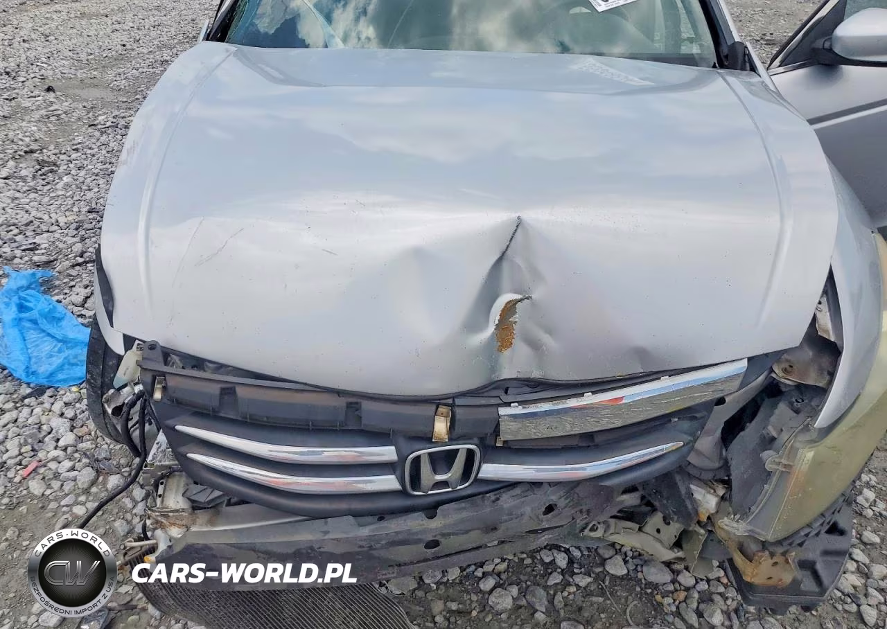 2011 Honda Accord Lx VIN:1HGCP2F34BA014441 - 11