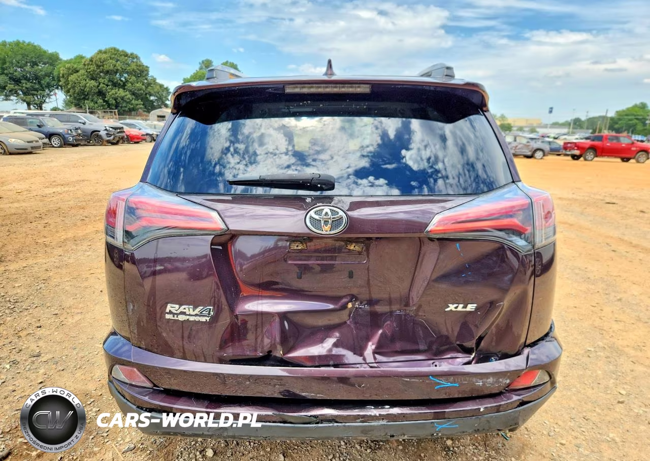 2017 Toyota Rav4 Xle VIN:2T3WFREV0HW321013 - 6